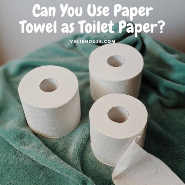 Can You Use Paper Towel as Toilet Paper