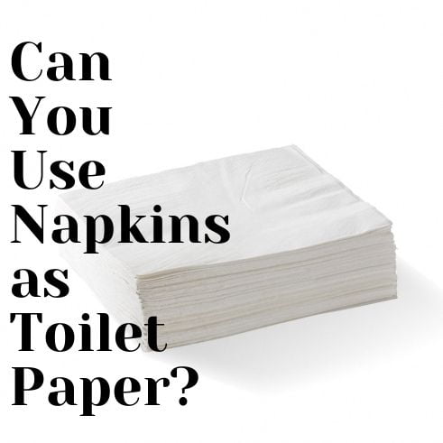 Can You Use Napkins as Toilet Paper