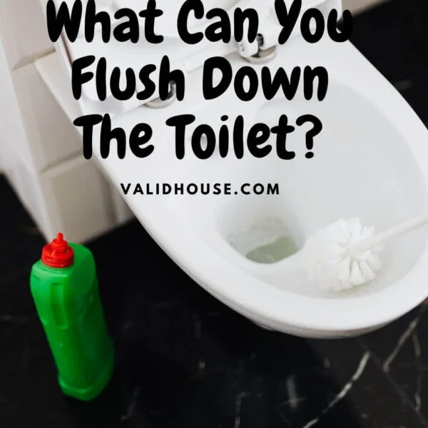What Can You Flush Down The Toilet?