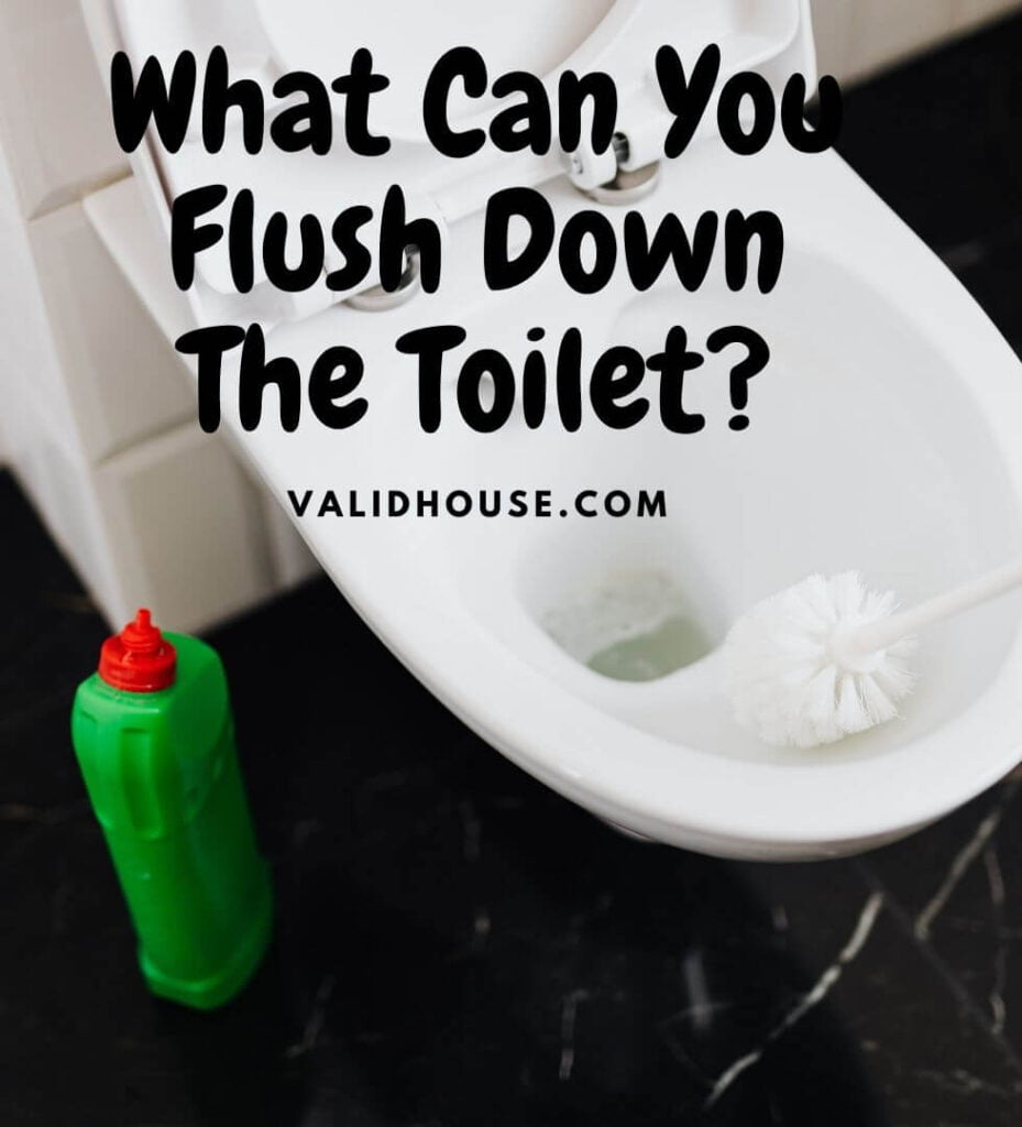 What Can You Flush Down The Toilet? | ValidHouse