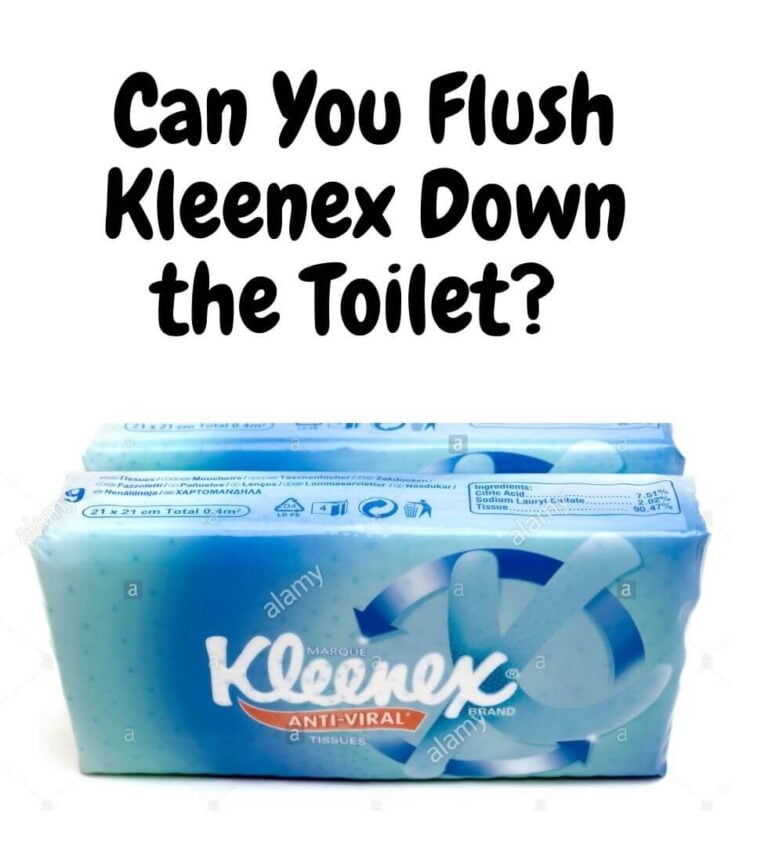 Can You Flush Kleenex Down the Toilet? ValidHouse