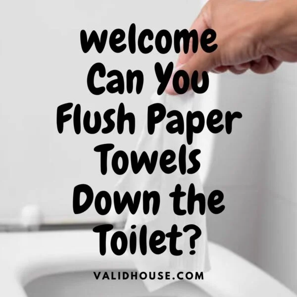 Can You Flush Paper Towels Down the Toilet