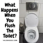 What Happens When You Flush The Toilet?