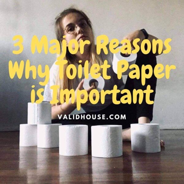 Why Toilet Paper is Important
