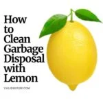 How to Clean Garbage Disposal with Lemon
