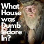 What House was Dumbledore In